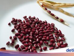 Rahasia Masak Nenek! 7 Stok Dapur yang Selalu Ada dan Wajib Ditiru