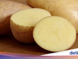 Jangan Lagi Dihindari! 5 Makanan ‘Buruk’ Ini Bikin Dayatahan Tubuh Tubuh Kuat