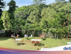 5 Coffee Shop Hingga Ciumbuleuit Bandung yang Cozy Buat Nongkrong