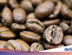 10 Bangsa Di Konsumsi Minuman Kafein Tertinggi per Kapita, Siapa Nomor Satu?