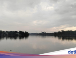 Situ Cikaret Hingga Cibinong Tenteram dan Menenangkan