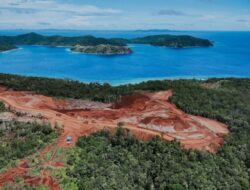 8 Bangsa Produsen Nikel Terbesar Di Dunia, Indonesia Masih Dari Sebab Itu Rajanya