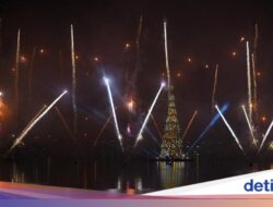 Cahaya Natal Rio Memukau, Pohon Raksasa Hiasi Pantai Botafogo