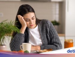 Ngantuk Berat Habis Makan? Ini 6 Cara Simpel Mengatasinya