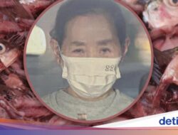 Ngeri! Pemilik Resto Ini Diduga Sajikan Limbah Ikan Curian Ke Pelanggan