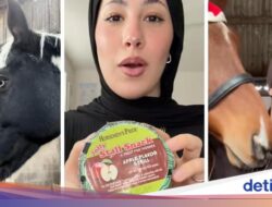 Waduh! Kini Muncul Gaya Nyeleneh Cicip Hidangan Kuda Ke TikTok