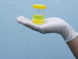 Kenali 6 Penyebab Urine Berbusa dan Kapan Harus Ke Ahli Kebugaran