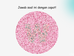 Tes Buta Warna, Bisa Lihat Huruf Di Gambar Ini dan Tebak Jawabannya?