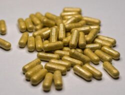 Pelatihan Terapi Herbal Aman Hingga Di Meningkatnya Peristiwa Pidana Diabetes