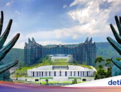 Menanam Pohon Di IKN Oke, tapi Tak Bisa Sembarang Tanaman