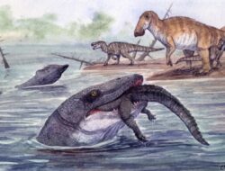 Mosasaurus, Dinosaurus yang Mencari Mangsa Ke Sungai dan Laut
