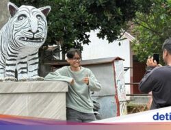 Viral Patung Macan Putih Ke Kediri Bermuka Lucu: Mirip Kuda Nil-Buat Selfie