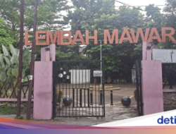 Wisata Ramah Kantong Di Depok: Taman Lembah Mawar