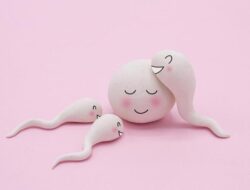Pertama Di Dunia, Pria Ini Jalani Transplantasi Sel Punca Penghasil Sperma