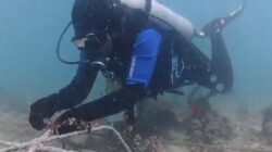 Komitmen Terapkan ESG, PLN EPI Raih Dua Apresiasi PRIA 2026