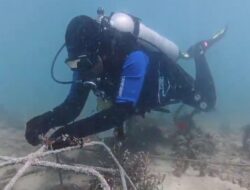 Komitmen Terapkan ESG, PLN EPI Raih Dua Apresiasi PRIA 2026