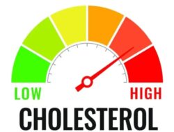 8 Cara Cegah Asam Urat dan Kolesterol Naik Di Lebaran, Jangan Kalap Makan!