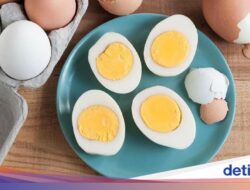 3 Efek Di Pola Makan Telur Rebus yang Jarang Diketahui