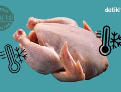Berapa Lama Daging Ayam Bisa Disimpan Ke Kulkas?