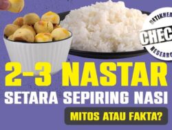 Perbandingan Kalori 2-3 Nastar Vs Sepiring Nasi, Benarkah Setara?
