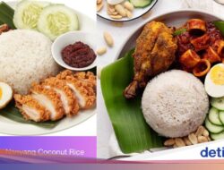 Nasi Lemak Disebut ‘Nanyang Coconut Rice’ Singapura, Netizen Malaysia Keluhan Masyarakat!