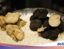 White Truffle vs Black Truffle, Bagaimana Perbedaan Aroma dan Rasanya?
