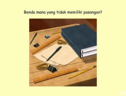 Fokus dan Tajamkan Mata! Temukan Pasangan Benda Hingga Gambar Ini Untuk Semenit