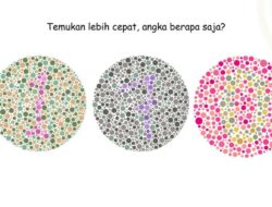 Kalau Mata Tak Buta Warna, Harusnya Mudah Selesaikan Permainan Gambar Ini