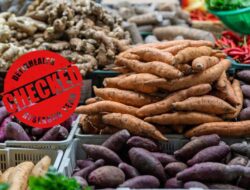 Ubi Vs Nasi Putih, Mana yang Lebih ‘Pola Makan Friendly’? Ini Komparasi Gizinya