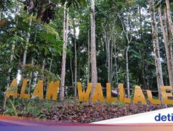 Surga Tersembunyi Birdwatcher! Ratusan Burung Endemik Di TN Bogani Wartabone