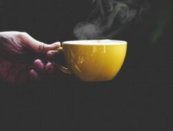 Minum Minuman Setiap Hari? Ilmuwan Ungkap Kaitannya Bersama Ekosistem Mikroba Ke Usus