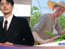 Viral! Aktor Atau Aktris ‘Bos Kaya’ Dracin Kini Hidup Di Jualan Cabai Di Pasar
