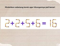 Tes Otak dan Matematika Cukup Pakai Korek Api, Belum Ada yang Bisa Jawab