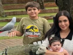 El Barack Bikin Google Form Rate Card Jessica Iskandar, Netizen Kagum