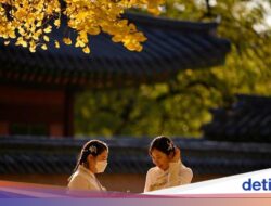 5 Karya Wisata Kebiasaan Global Hingga Korea Selatan yang Patut Dicoba