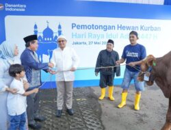 Semangat Berbagi Iduladha, BRI Group Distribusikan 5.000 Lebih Hewan Kurban Di Berbagai Area