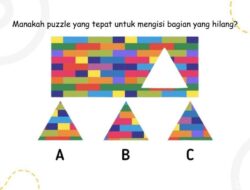 Temukan Puzzle yang Hilang, Awas Terkecoh Susunan Pola dan Warna