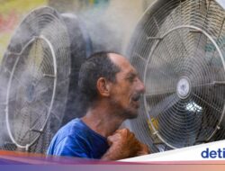 Suhu Ekstrem Terpa Eropa, Prancis Catat Catatan Terpanas 40 Derajat Celcius