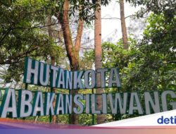 Hutan Kota Babakan Sliwangi, Kawasan Damai nan Hijau Hingga Ditengah Kota Bandung