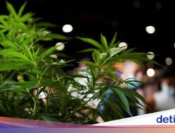 Antara Sepakbola dan Ruang Gawat Darurat