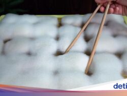 5 Fakta Moldy Tofu, Tahu Berjamur Bersama China yang Kian Populer