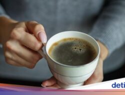 5 Racikan Minuman yang Bagus Diminum Di Pola Makan