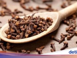 Arkeolog Temukan Cengkeh Tertua Di Dunia, Usianya Hampir 1.000 Tahun!