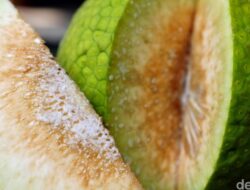 Guru Besar IPB Sebut Sukun Bisa Dari Sebab Itu ‘Superfood’, Manfaatnya Nggak Kaleng-kaleng
