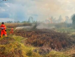 Karhutla Landa Tiga Area, Terparah Di Banjarbaru Kalsel