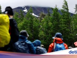 Bertemu Beruang Di Gunung Jepang, 4 Pendaki Dievakuasi Pakai Helikopter