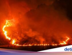 Kebakaran Meluas Ke TNBTS, Upaya Pemadaman Terus Dilakukan