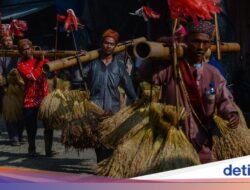Padi Bergoyang Hingga Atas Bambu, Ritual Ngarengkong Bersama Sebab Itu Wujud Syukur Warga Citorek
