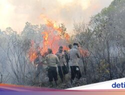 Taman Nasional Way Kambas Dilalap Api, Pemadaman Terhambat Akses