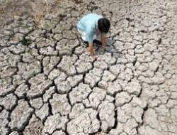 El Nino Super Kembali Sesudah 11 Tahun, Kekeringan Hebat Akansegera Menyapu Organisasiregional